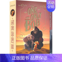 无可比拟的鲍勃 [正版]Charlotte's Web Holes Miss May 纽伯瑞文学奖小说 中学生必读小说作