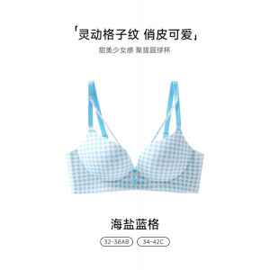 格纹无痕夏季无钢圈内衣女小胸聚拢防下垂收副乳一片式薄款文胸罩