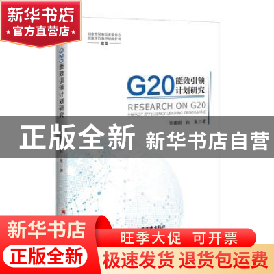 正版 G20能效引领计划研究 张建国,白泉著 中国经济出版社 97875