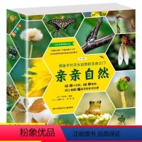 亲亲自然(套装共11册) [正版]亲亲自然系列全套11册 自然科学启蒙绘本图书3-6-12岁小学生一二三四年级课外阅读动