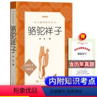 七年级下册全6册+赠考点手册 [正版] 骆驼祥子 老舍 著 书原著 人民文学出版社 语文阅读丛书 初中原著初中生语文七年