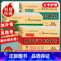 [3本套/人教版]数学试卷+口算题+计算应用题 二年级上 [正版]一年级二年级三年级四五六年级上册下册试卷测试卷全套人教