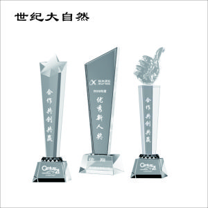 世纪大自然 水晶奖杯 280mm 个