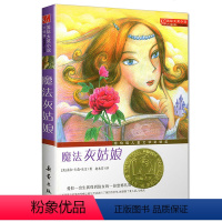 [正版]魔法灰姑娘书籍 国际大奖小说 灰姑娘的魔法之夜 小学生三四五六年级课外书 青少年儿童文学7-15岁