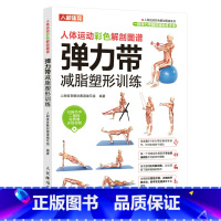 [正版]人体运动彩色解剖图谱弹力带减脂塑形训练 健身健美减脂训练书籍