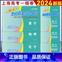 [套装6本]2024 高考一模卷 数理化试卷+答案 高中通用 [正版]2024年版上海高考一模卷语文数学英语物理化学历史