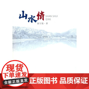 山水情