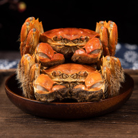 金沐运澄 严选精品大闸蟹 鲜活螃蟹 全母蟹4.0两 8只 豪华礼盒装