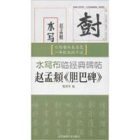 正版新书]赵孟頫《胆巴碑》施志伟9787564416904