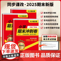 2025新版小学期末冲刺卷一年级二年级三年级四五年级六年级下册试卷测试卷全套人教版语文数学英语练习题练习册单元期末尖子生