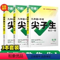 尖子生[数学+物理+化学]3本套装 初中通用 [正版]2024九年级数学尖子生每日一题物理化学专项训练初三一二题库奥数竞