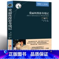 [正版] 爱丽丝漫游奇境记 英文原版+中文版 英汉对照图书 中英文双语世界文学名著小说 中学生高中学生版课外读物英语原著