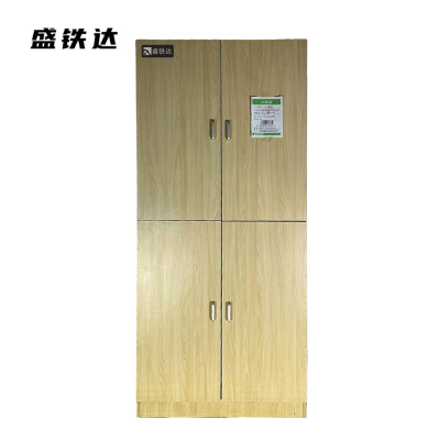 盛铁达 两门衣柜(颜色尺寸可定制) STD-XS549 个