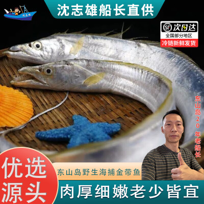 [国产][已通过核酸检测]沈志雄船长 东山岛海鲜带鱼段黄金带鱼 4-6条/400g/盒 共2盒 东山特色鱼种