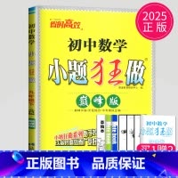 [正版]2025初中数学小题狂做巅峰版九年级下册数学九下苏科版SK苏教版中学教辅江苏9年级下数学同步训练初三下学期练习册