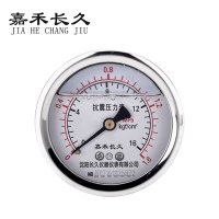 嘉禾长久 真空泵压力仪表 YTN60Z 0-1.6MPa 台