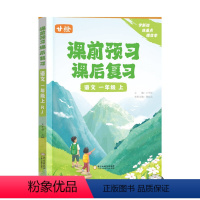 [语文]一年级上册 小学通用 [正版]甘橙2023秋季新品小学课前预习课后复习语文数学英语一二三四五六年级上册全套学霸课