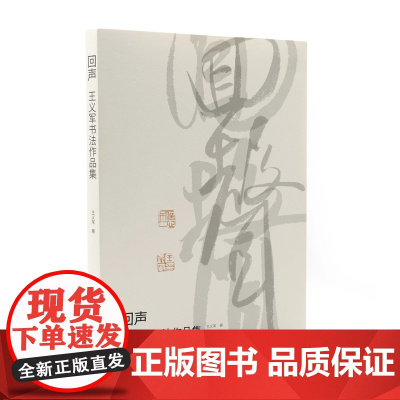 《回声---王义军书法作品集》中国美术学院文创 正版 王义军著