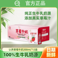 认养草莓牛奶200ml*12盒儿童牛奶学生奶早餐奶草莓奶整箱全脂牛奶