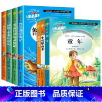 [赠考点六年级上册下册全套7册快乐读书吧 [正版]快乐读书吧六年级下必读全4册6年级鲁滨逊漂流记爱丽丝漫游奇境尼尔斯骑鹅
