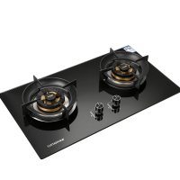 TJSTAR天际星2953玻璃面板大火力燃气灶