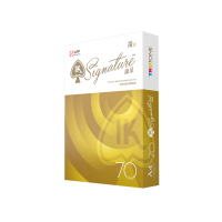 APP IK王臻呈70克A4-5包装(2500张)整箱复印纸学生用白纸政府采购打印纸