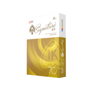 APP IK王臻呈70克A4-5包装(2500张)整箱复印纸学生用白纸政府采购打印纸