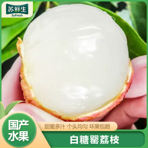 [苏鲜生]新鲜白糖罂荔枝 净重2.5斤 单果18g+