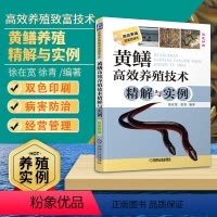 [正版]黄鳝高效养殖技术精解与实例教程黄鳝养殖技术与疾病防治技术大全书籍鳝鱼高效养殖技术高效养鱼技术书淡水鱼养殖技术书