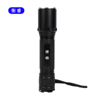 衡睿 HR001K2 应急照明灯手电 个