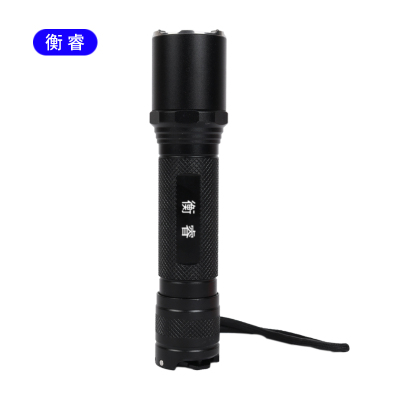 衡睿 应急照明灯手电 HR001K2 个