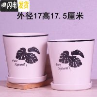 三维工匠欧式花盆陶瓷三个大中号简约创意家用绿植盆栽花盆带托盘 卡其色白叶17厘米两个 中等花盆容器