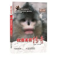 正版新书]红唇美猴传奇赵序茅,李明9787514843033
