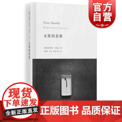 无欲的悲歌 彼得汉德克 德语文学大师 诺贝尔文学奖得主 外国文学小说 上海人民出版社
