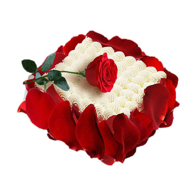 10寸方形玫瑰蛋糕 苏州上海北京同城配送 女友生日蛋糕