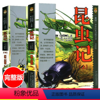 昆虫记 上下册-美绘版 [正版]世界经典动物名著昆虫记初中生小学生四年级法布尔原著三四五年级上下册9-14岁课外阅读书籍