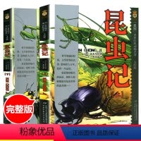 昆虫记 上下册-美绘版 [正版]世界经典动物名著昆虫记初中生小学生四年级法布尔原著三四五年级上下册9-14岁课外阅读书籍