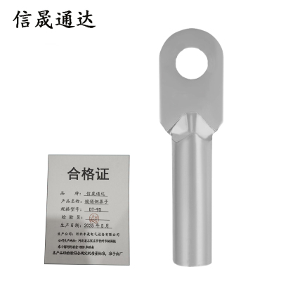 信晟通达 镀锡铜鼻子 DT-95 个