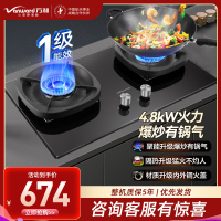 万和(Vanward) 超一级能效 液化气双灶 双眼燃气灶 单灶具 4.8KW火力钢化玻璃 可调底座G6L50