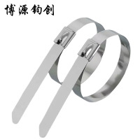 博源钧创 304不锈钢扎带 7.9*650MM 根