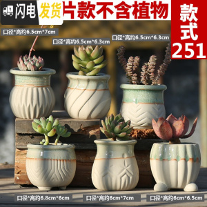 三维工匠多肉花盆陶瓷粗陶透气大口径大号盆栽创意小盆栽 款251控根盆套装(6个) 中小花盆容器