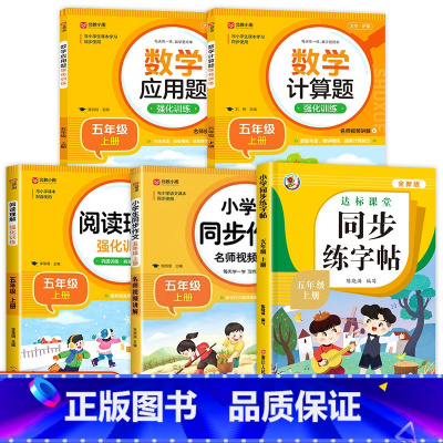 [全套5册]包含以上全部(推荐购买) 五年级上 [正版]老师小学五年级上册语文同步字帖 人教版练字帖 小学生五年级上册钢