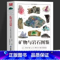[6册]矿物与岩石+野菜+野花+鸟+名犬+猫图鉴 [正版]矿物与岩石图鉴 231种矿物与65种岩石鉴别指南 矿石风貌形成