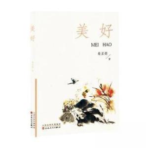 正版新书]美好柴亚娟 著9787530688762