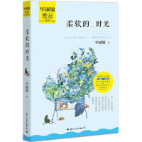 音像柔软的时光淑敏著