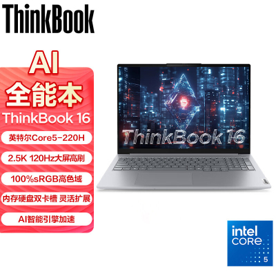 ThinkPad 联想ThinkBook 16 9ECD 2025款16英寸大屏学生游戏娱乐商务办公笔记本电脑 2.5K高色域屏 定制Core5-220H 24G内存 2TB固态