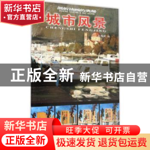 正版 剖析油画的奥秘:城市风景 孙振武绘 天津杨柳青画社 9787554