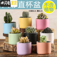 三维工匠多肉花盆陶瓷创意个性粗陶肉肉植物盆器大口径小花盆 白色八彩直杯随机8个 中小花盆容器