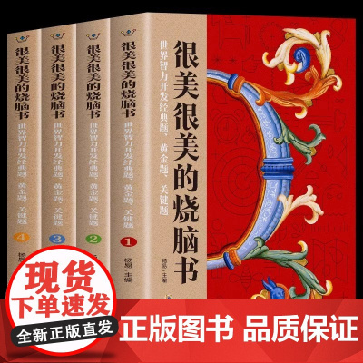 很美很美的烧脑书全套4册 世界智力开发经典题 黄金题关键题1-4 小学生益智思维训练书 儿童数学逻辑思维启蒙脑力潜能开发