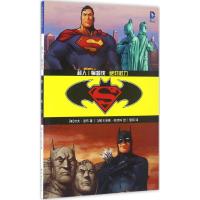 超人/蝙蝠侠 权力